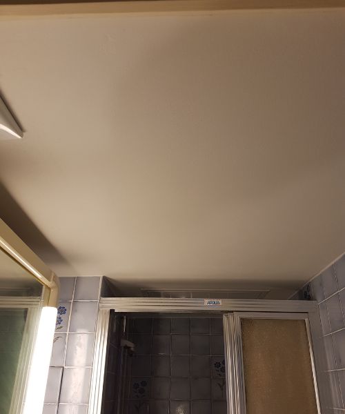 faux plafond